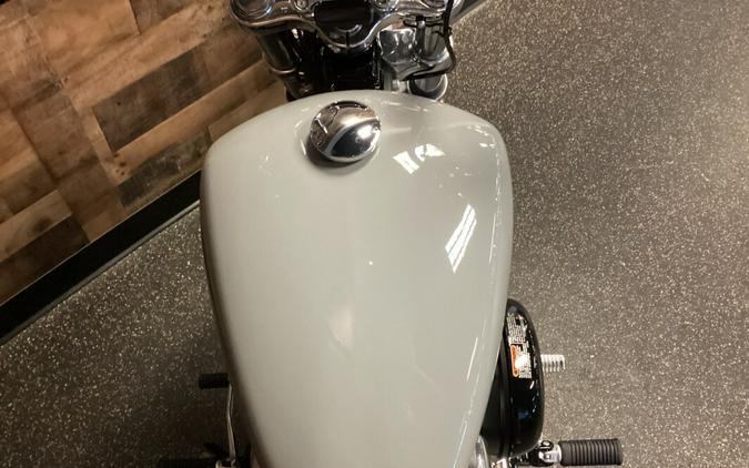 2024 Harley-Davidson Softail Standard Billiard Gray FXST