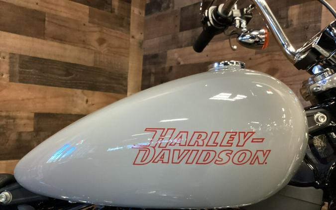 2024 Harley-Davidson Softail Standard Billiard Gray FXST