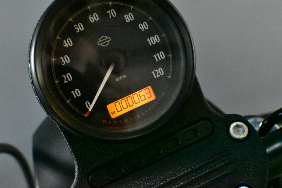 2021 Harley-Davidson Iron 883