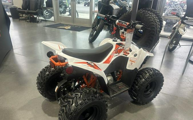 2026 Kayo Fox / Storm 70