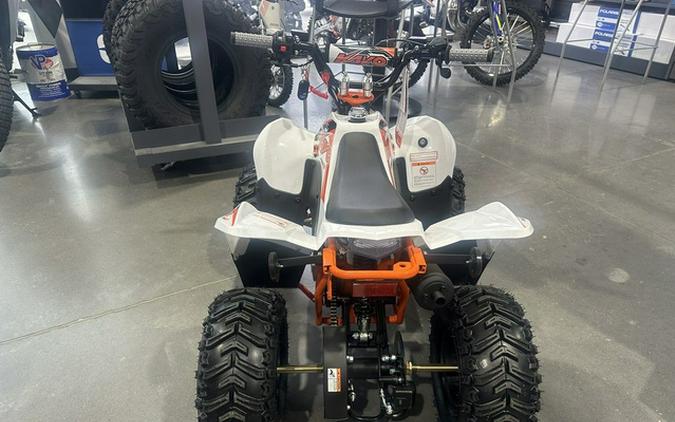 2026 Kayo Fox / Storm 70