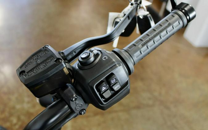 New 2025 Harley-Davidson Sportster Nightster RH975 Motorcycle For Sale In Sunbury, OH