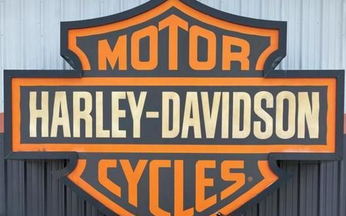 2019 Harley-Davidson® FLHXS - Street Glide® Special