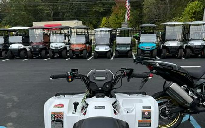 2025 Kawasaki BRUTE FORCE 450 4x4