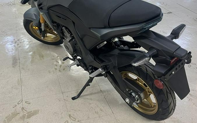 2024 Kawasaki Z125 PRO