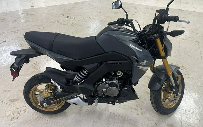 2024 Kawasaki Z125 PRO