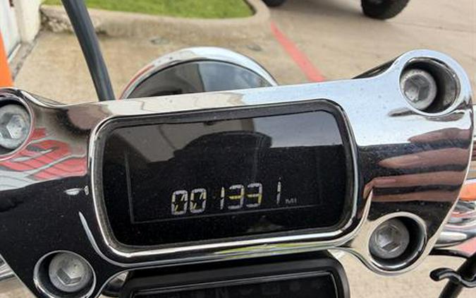 2024 Harley-Davidson Softail® Standard