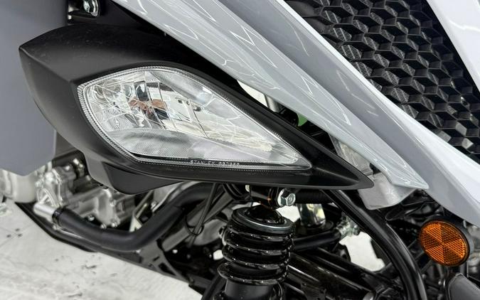 2025 Yamaha Raptor 700