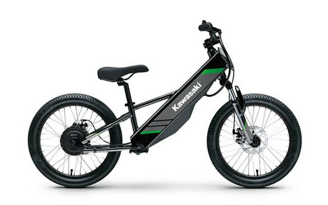 2025 Kawasaki Elektrode 20