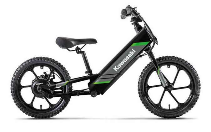 2025 Kawasaki Elektrode 16