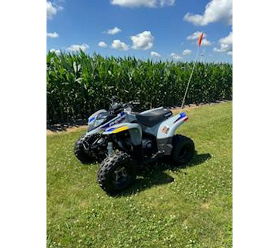 2025 Polaris Phoenix 200- Storm Gray