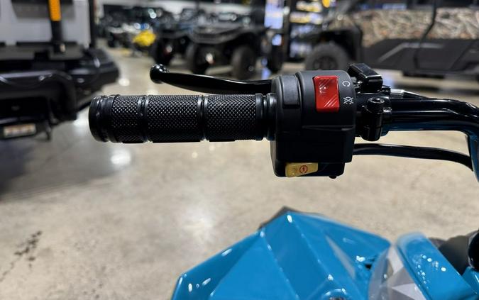 2026 Can-Am® Renegade 110 EFI