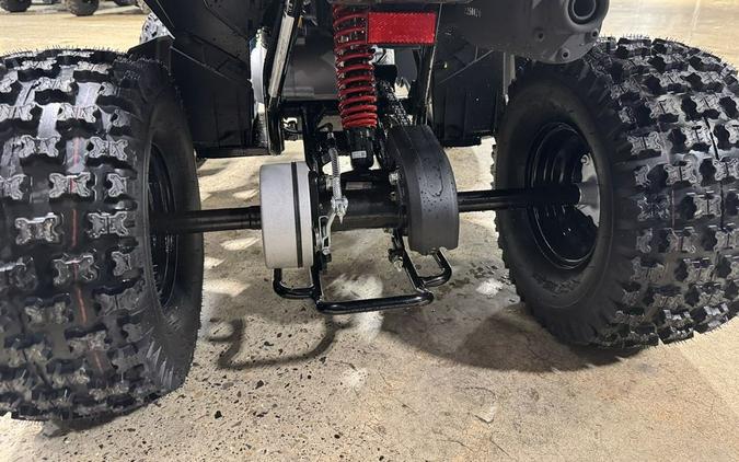 2026 Can-Am® Renegade 110 EFI