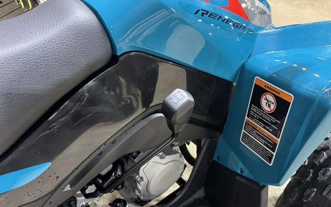 2026 Can-Am® Renegade 110 EFI