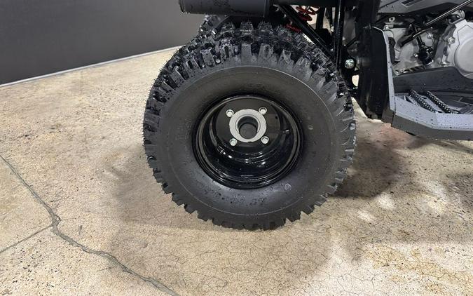 2026 Can-Am® Renegade 110 EFI