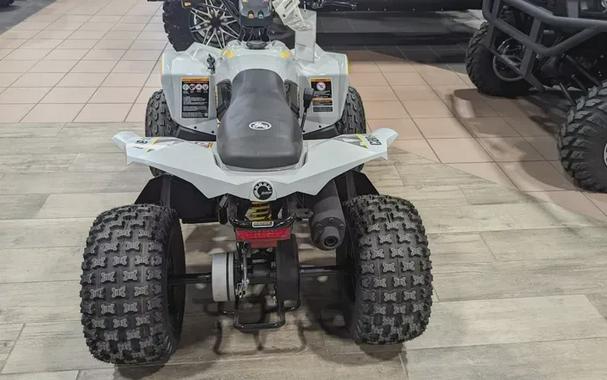 New 2024 CAN-AM RENEGADE 110 EFI CATALYST GRAY AND NEO YELLOW