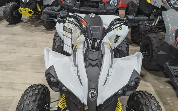 New 2024 CAN-AM RENEGADE 110 EFI CATALYST GRAY AND NEO YELLOW