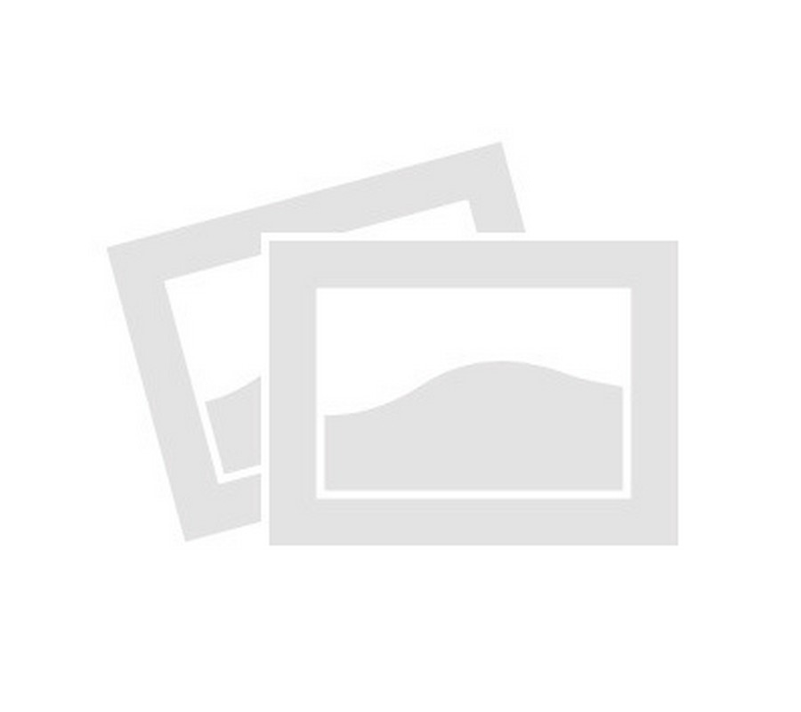 2020 Harley-Davidson Softail® Standard