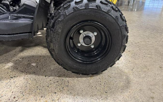 2026 Can-Am® Renegade 70 EFI