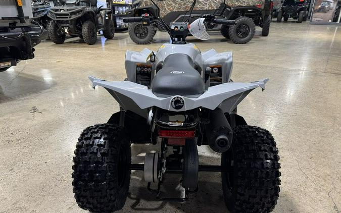 2026 Can-Am® Renegade 70 EFI