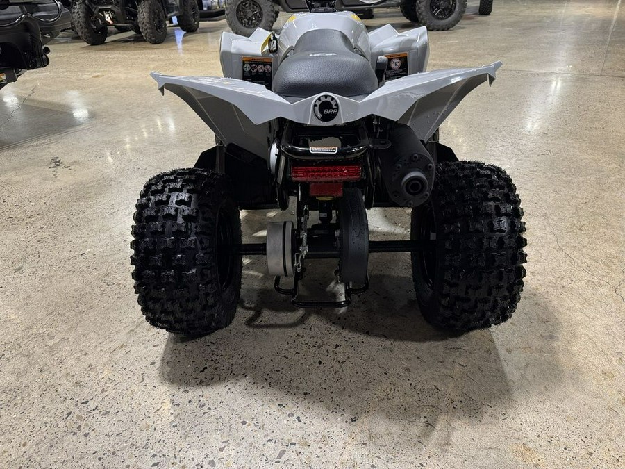 2026 Can-Am® Renegade 70 EFI