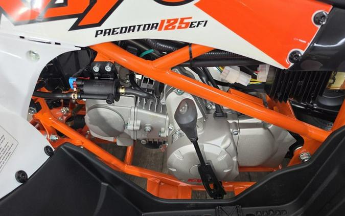 2026 Kayo Predator 125 EFI