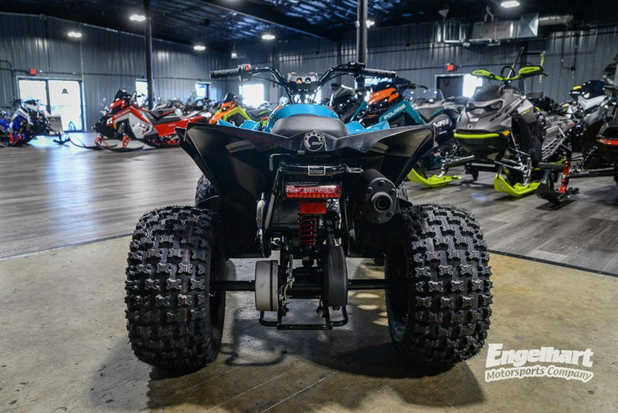 2024 Can-Am® Renegade 110 EFI