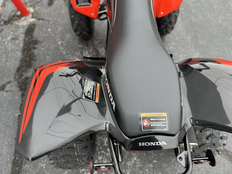 2024 Honda® TRX250X