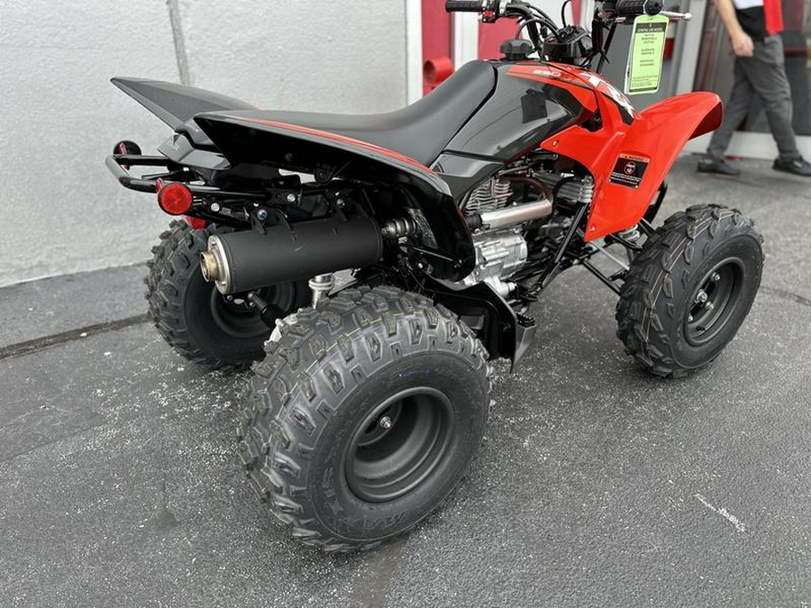 2024 Honda® TRX250X