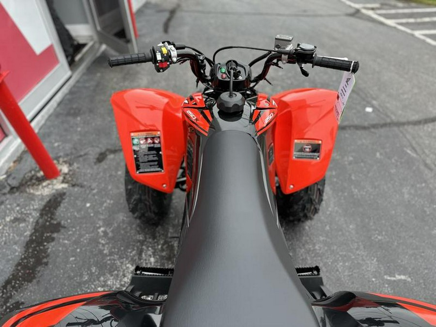 2024 Honda® TRX250X