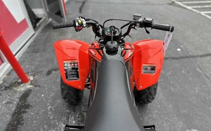 2024 Honda® TRX250X