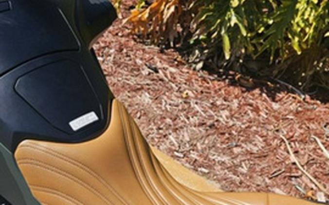 2024 Honda Gold Wing Automatic DCT