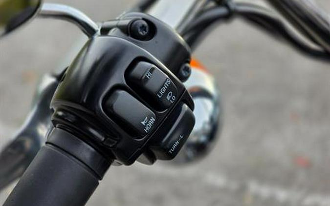 1999 Harley-Davidson FLSTF Fat Boy®