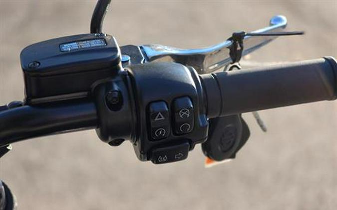 2024 Harley-Davidson Low Rider® S