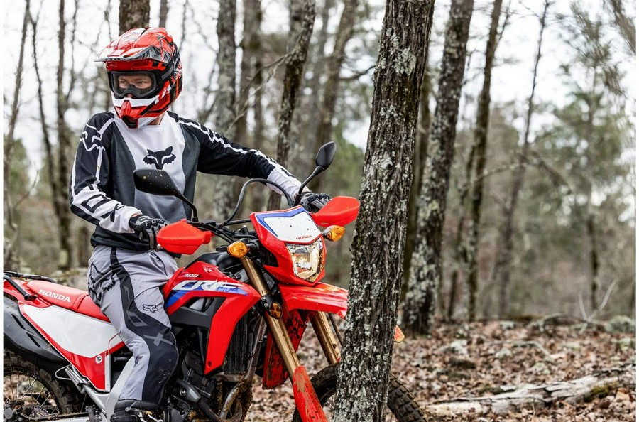 2024 Honda CRF300L ABS