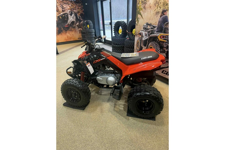 2026 Can-Am DS 250