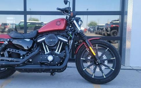 2019 Harley-Davidson XL 883N - Sportster Iron 883