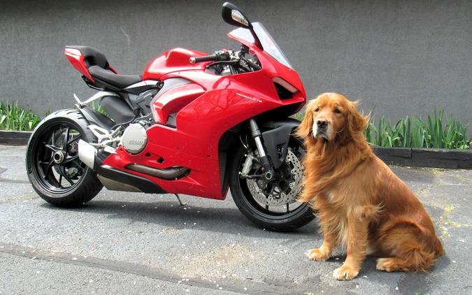 2022 Ducati Panigale V2