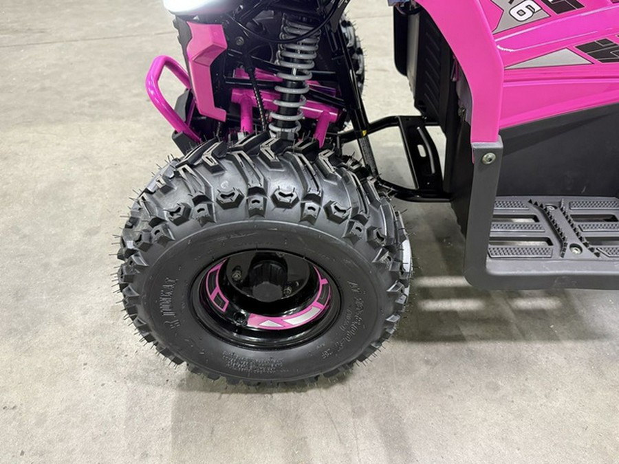 2026 Denago Powersports E-Hawk 6