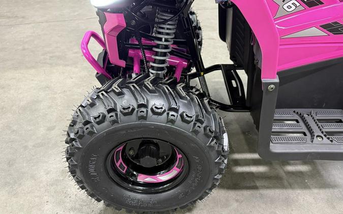 2026 Denago Powersports E-Hawk 6