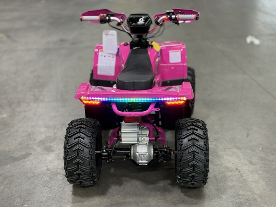 2026 Denago Powersports E-Hawk 6