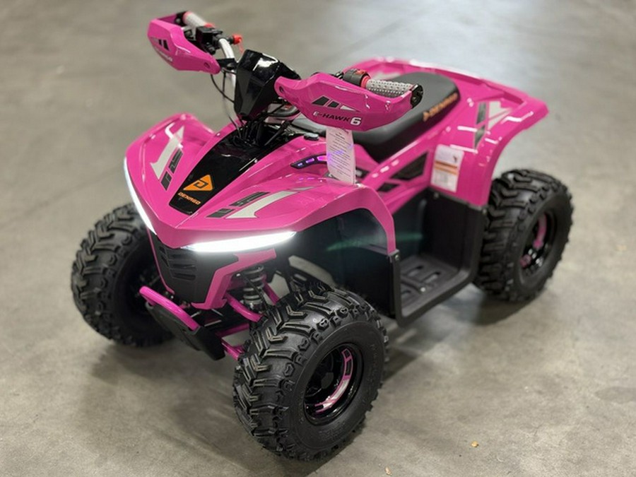 2026 Denago Powersports E-Hawk 6