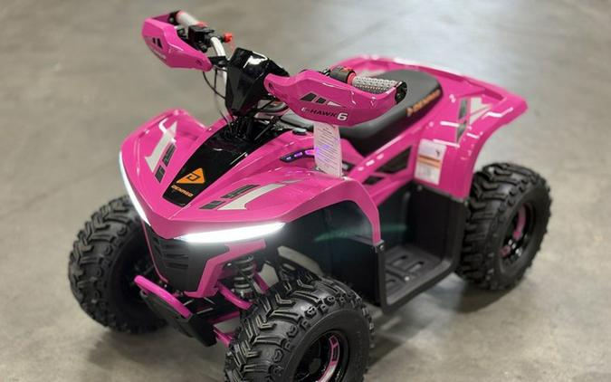 2026 Denago Powersports E-Hawk 6