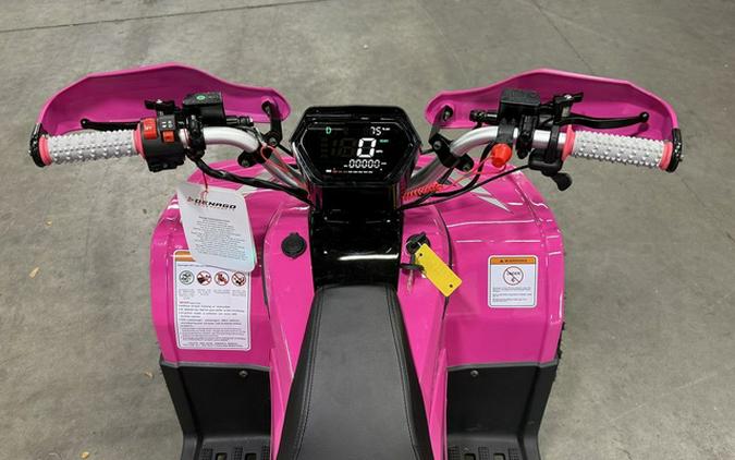 2026 Denago Powersports E-Hawk 6
