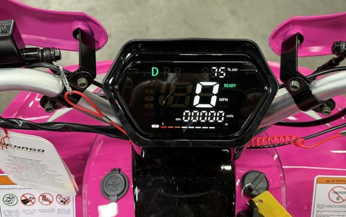 2026 Denago Powersports E-Hawk 6