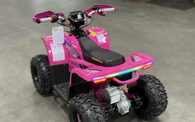 2026 Denago Powersports E-Hawk 6