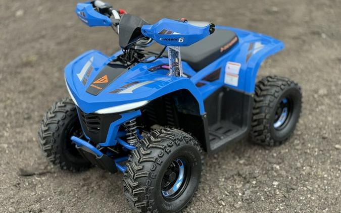 2026 Denago Powersports E-Hawk 6