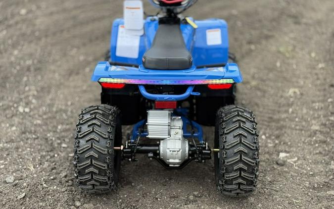 2026 Denago Powersports E-Hawk 6