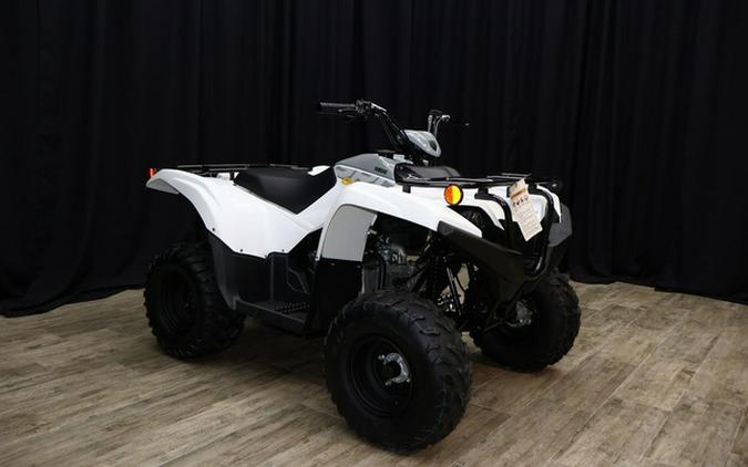 2024 Yamaha Grizzly 90