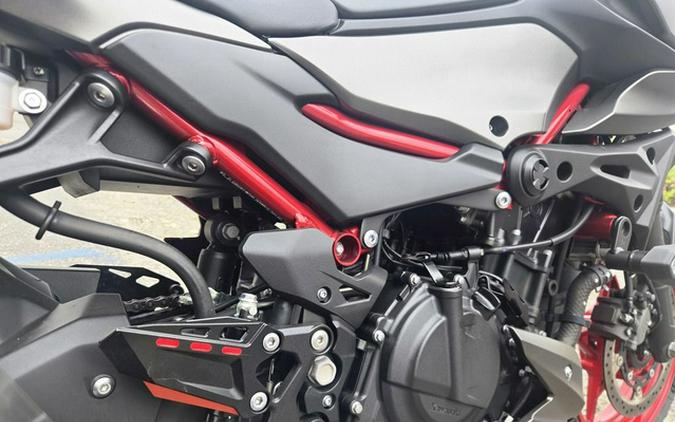 2024 Kawasaki Z500 SE ABS